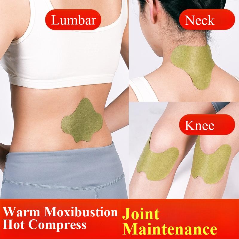 100pcs Wormwood Lumbar Patches - огляд і ціна Yoga Health & Fitness Center
